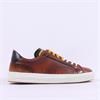 Ambitious Anopolis Casual Laced Trainer - Cognac Black
